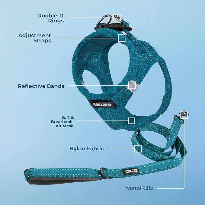 Voyager Step-in Air All Weather Mesh Harness and Reflective Dog 5 ft Leash Combo with Neoprene Handle, for Small, Medium and Large Breed Puppies by Best Pet Supplies - Set (Turquoise), S