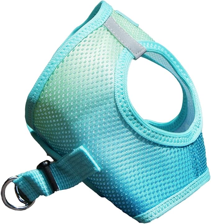 Doggie Design No Choke Dog Harness - Simple Step-in and Go Dog Vest for Small, Medium, and Large Breeds - Breathable Mesh Polyester Pet Harness - Aruba Blue - XL