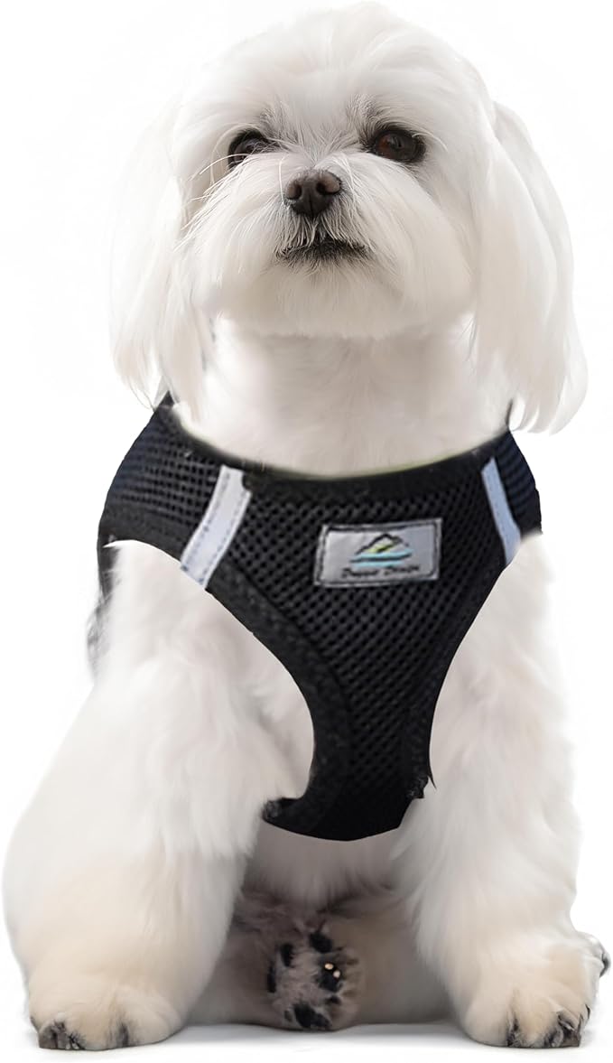 CHOKE FREE REFLECTIVE STEP IN ULTRA HARNESS - BLACK - AMERICAN RIVER (Small) by Doggie Design