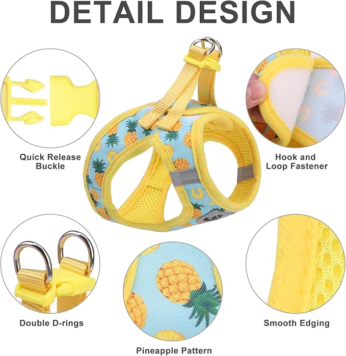 EXPAWLORER Small Dog Harness and Leash Set - Cute Puppy Harness Leash Dog Collar with AirTag Holder Silicone Case, Soft Padded Step in Pet Vest Reflective for Outdoor Walking, Pineapple S