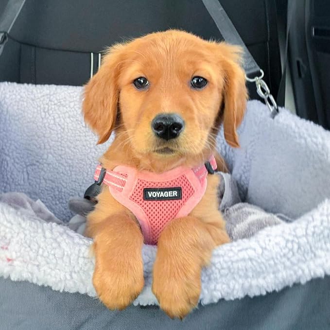 Best Pet Supplies Voyager Mesh Dog Breathable Harness Reflective Stitching, All Weather Adjustable for Walking Training, or Running - Heavy Duty & Durable, Harness (Pink), M