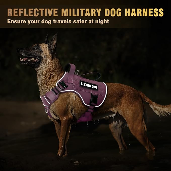 WINSEE Tactical Dog Harness for Medium Dog, Heavy Duty Service Working MOLLE Vest with 10 Pet Patches, 2X Metal Buckle Vest for Training Hunting Walking