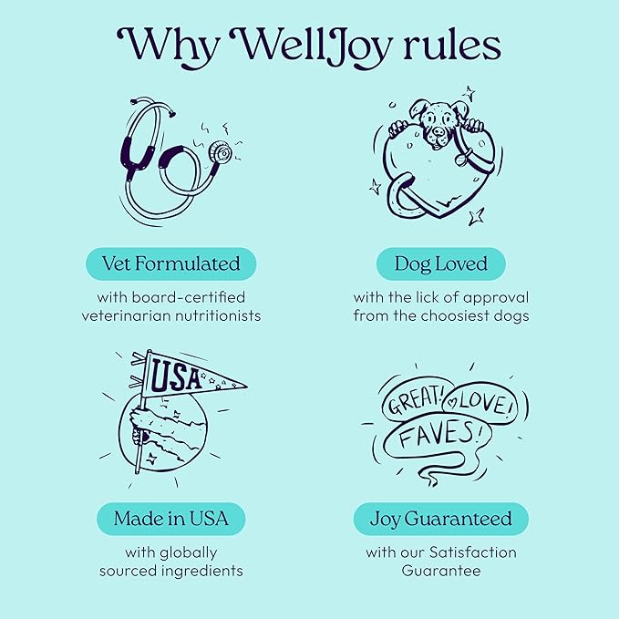 WellJoy Dog Treat Joint+ GutBoost | Glucosamine | Healthy Joints & Cartilage | Dual-Benefit GutBoost Formulation | Vet Formulated | Made in USA | Made with Real Shredded Chicken | 30 Soft Chews