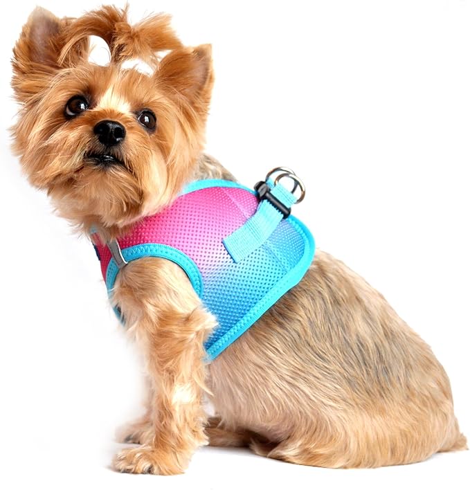 Doggie Design No Choke Dog Harness - Simple Step-in and Go Dog Vest for Small, Medium, and Large Breeds - Breathable Mesh Polyester Pet Harness - Sugar Plum - M