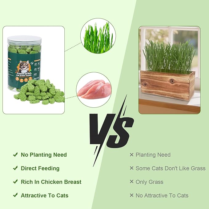 80g Cat Grass Treats for Indoor Cats, Freezed Drying Cat Grass Teething Stick for Hairball Remove Treatment Teeth Cleaning and Dental Care, Edible Kitty Chew Toy Snack