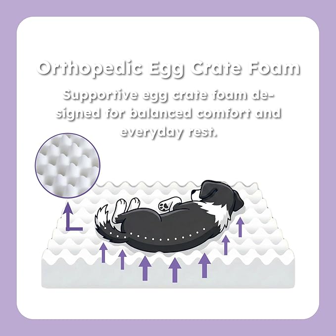 GLOSSGODS Elevated Dog Bed and Mattress with Removable Washable Cover, Egg Crate Foam, Wooden Frame, Suitable for Pet Up to 50 lbs, Naturalwood M