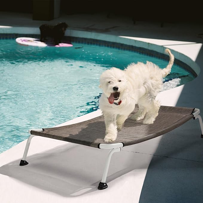 Veehoo Elevated Dog Bed for Outdoor, Cooling Waterproof Raised Dog Cots Beds for Medium Dogs, Curved Off Ground Pet Hammock Cot Lifted for Outside, up to 65lbs, White Legs, Brown 32"
