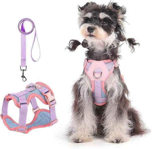 Small Dog Harness and Leash Set, Breathable Mesh Puppy Harness, Adjustable Dog Harness for Small Medium Large Dogs, No-Pull Pet Harness for Daily Walking (Pink, S)