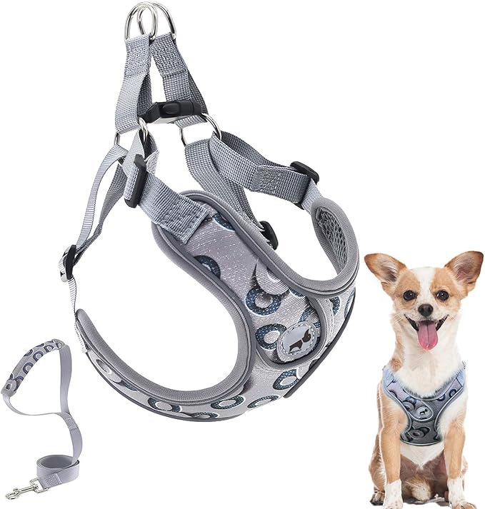 Dog Harness with Leash Set, Reflective Strips Step in with Breathable Padded Vest Harness for Small Dogs Running (S, Gray with Circle)