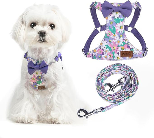 PUPTECK Dog Harness and Leash Set Small Sized, Step-in Cute Puppy Harness, Soft Lightweight Padded Vest, Escape Proof No Pull Pet Harnesses Easy for Walking, Flower Purple, XXS