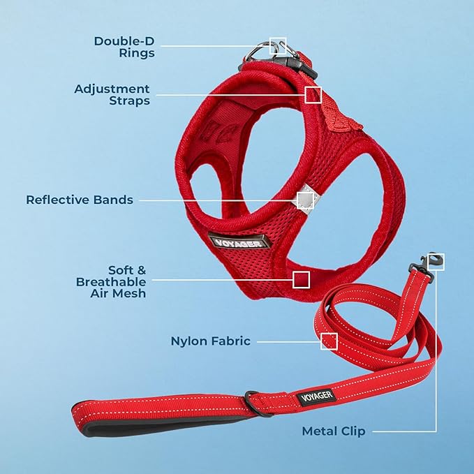 Voyager Step-in Air All Weather Mesh Harness and Reflective Dog 5 ft Leash Combo with Neoprene Handle, for Small, Medium and Large Breed Puppies by Best Pet Supplies - Harness Leash Set (Red), S