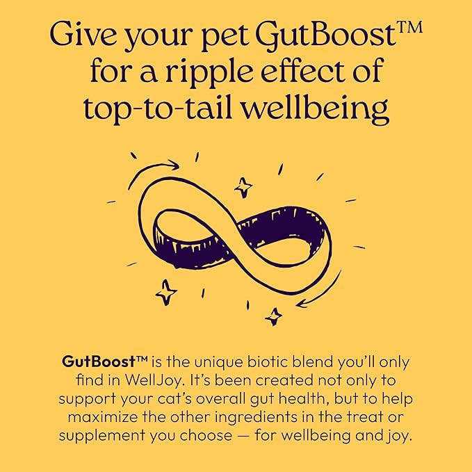 WellJoy Cat Treat Immune+ GutBoost | Supports a Healthy Respiratory System & Immune Defenses | Dual-Benefit GutBoost Formulation | Vet Formulated | Made in USA | Real Chicken | 120 Soft Chews