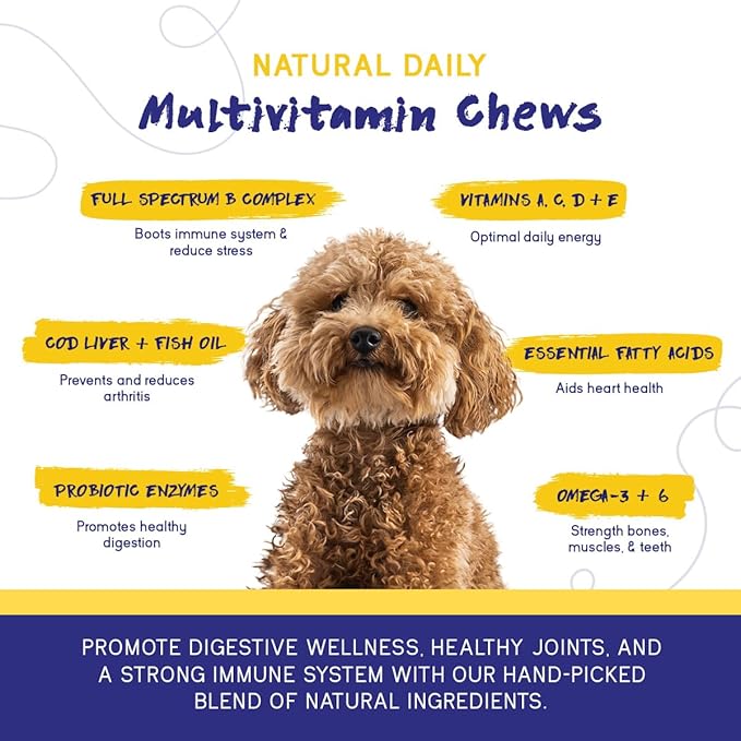 PupGrade Daily Multivitamin for Dogs - All-in-One Supplement for Digestive, Immune, Skin and Coat Health - Probiotic Enzymes, Omega Fish Oil, Vitamins A, C, D & E – 180 Soft Chews