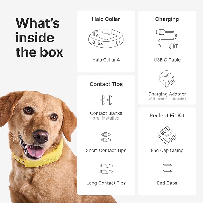 Halo Collar 4, GPS Wireless Dog Fence & Dog Training Collar with GPS Tracker, Subscription Required, Waterproof, Graphite, One Size