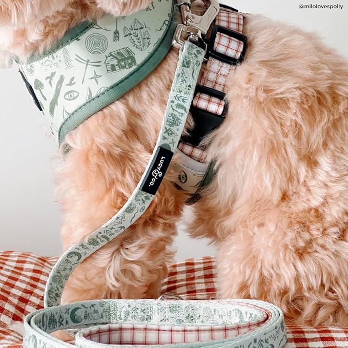 Lucy & Co. Cute Reversible Dog Harness Walking Halter - Best Designer Pet Harnesses for XS - XL Dogs - Padded Adjustable Vest for Easy Walking-X-Small-Green Outdoor Plaid