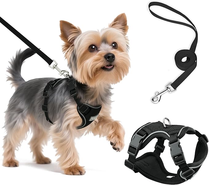 Small Dog Harness and Leash Set, Reflective Soft Breathable Mesh Vest, 3 Buckles, Adjustable Neck and Chest,Step in Dog Harness for Walking, Running, Training, Black, XS