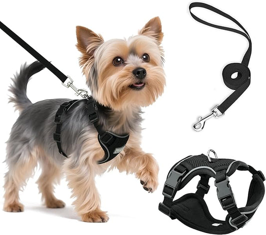 Small Dog Harness and Leash Set, Reflective Soft Breathable Mesh Vest, 3 Buckles, Adjustable Neck and Chest,Step in Dog Harness for Walking, Running, Training, Black, XS