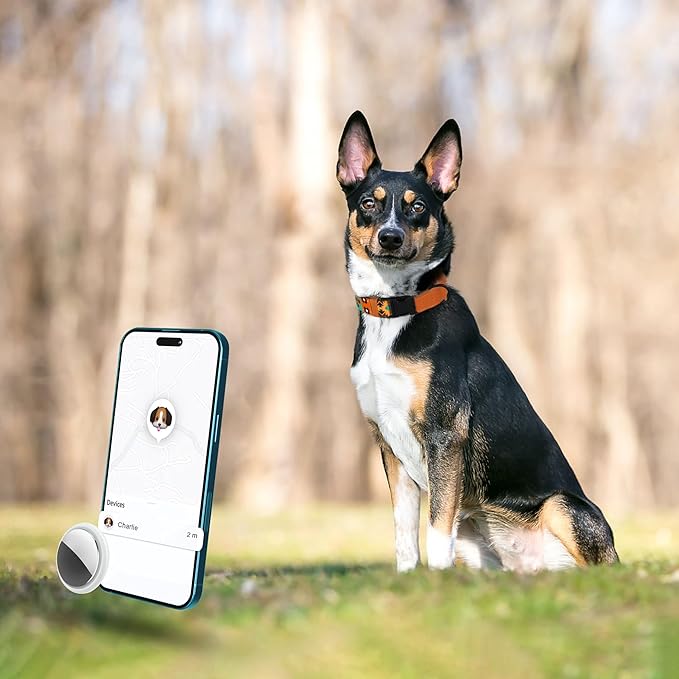 AirTag Dog Collar with Metal Buckle - Printed Nylon Soft Leather Dog Collar with Apple AirTag Holder - Secure Tracking GPS Pet Collars for Girl Boy Small Large Dogs (XL, 20"-25" Neck Fit, Southwest)