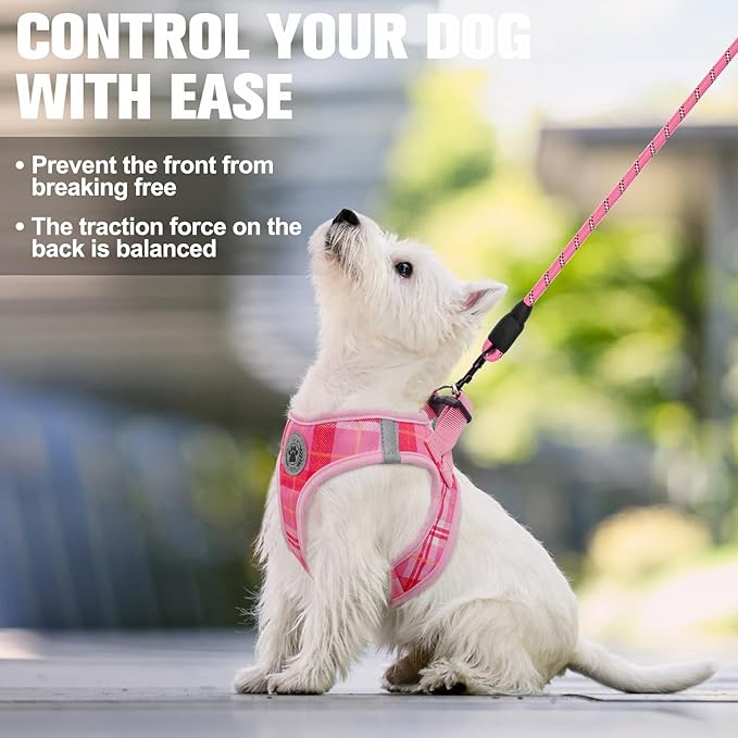 BEAUTYZOO Small Dog Harness and Leash Set, Step in No Choke No Pull Soft Mesh Dog Harnesses Reflective for Small Medium Puppy Dogs and Cats, Plaid Dog Vest Harness for S M Pets, Light Pink XS