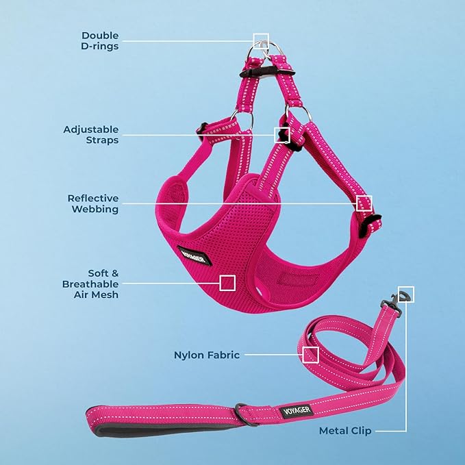 Best Pet Supplies Voyager Mesh Dog Breathable Harness Reflective Stitching, All Weather Adjustable for Walking Training, or Running - Heavy Duty & Durable, Harness Leash Set (Fuchsia), S