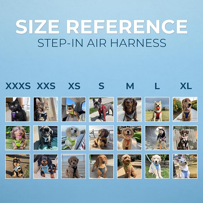 Voyager Step-in Air All Weather Mesh Harness and Reflective Dog 5 ft Leash Combo with Neoprene Handle, for Small, Medium and Large Breed Puppies by Best Pet Supplies - Set (Black), S