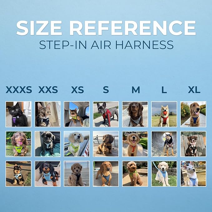 Voyager Step-in Air All Weather Mesh Harness and Reflective Dog 5 ft Leash Combo with Neoprene Handle, for Small, Medium and Large Breed Puppies by Best Pet Supplies - Set (Baby Blue), XS