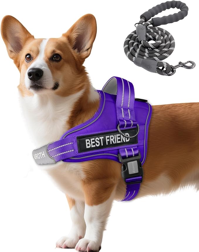 AUROTH Dog Harness and Leash Set, Soft Padded Service Dog Vest with 5.25FT Dog Leash, No Choke, Easy On Pet Vest, Adjustable Reflective No Pull Pet Vest Medium Sized Dog, Easy Walking and Training
