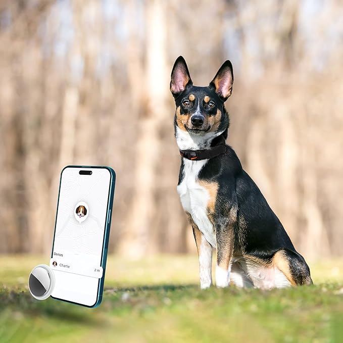 AirTag Dog Collar with Metal Buckle - Printed Nylon Soft Leather Dog Collar with Apple AirTag Holder - Secure Tracking GPS Pet Collars for Girl Boy Small Large Dogs (M, 14"-18" Neck Fit, Hawaii)