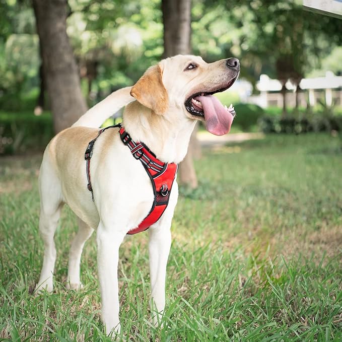 PoyPet No Pull Dog Harness, [Release on Neck] Reflective Adjustable No Choke Pet Vest with Front & Back 2 Leash Attachments, Soft Control Training Handle for Small Medium Large Dogs(Red,XL)