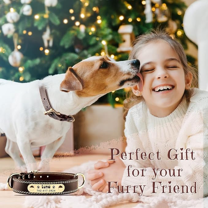 Personalized Custom Leather Dog Collar with Engravable Nameplate - Durable Name Tag Collar - Customizable Dog Collar - Comfortable ID Collars for Small, Medium, Large Dogs (X-Small)