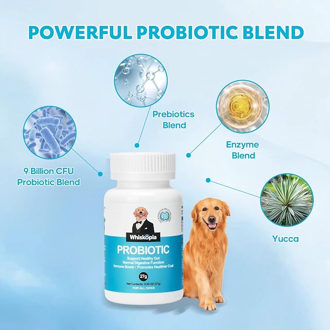 Probiotics for Dogs, Dog Probiotics with Digestive Enzymes with and Prebiotics for Support Gut & Digestion Health, Immune Support, Reduce Diarrhea, 60 Capsules