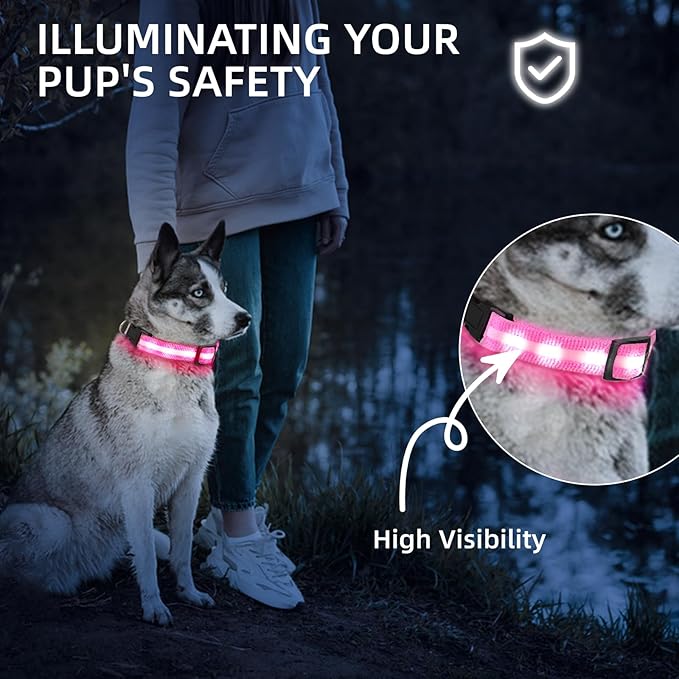 LED Dog Collar for Small Dogs Cats - Fully Waterproof & Adjustable Glow Collar - USB-C Rechargeable for Night Walking, Safety - Flashing Lighted Collar for Dogs(Pink,XS)