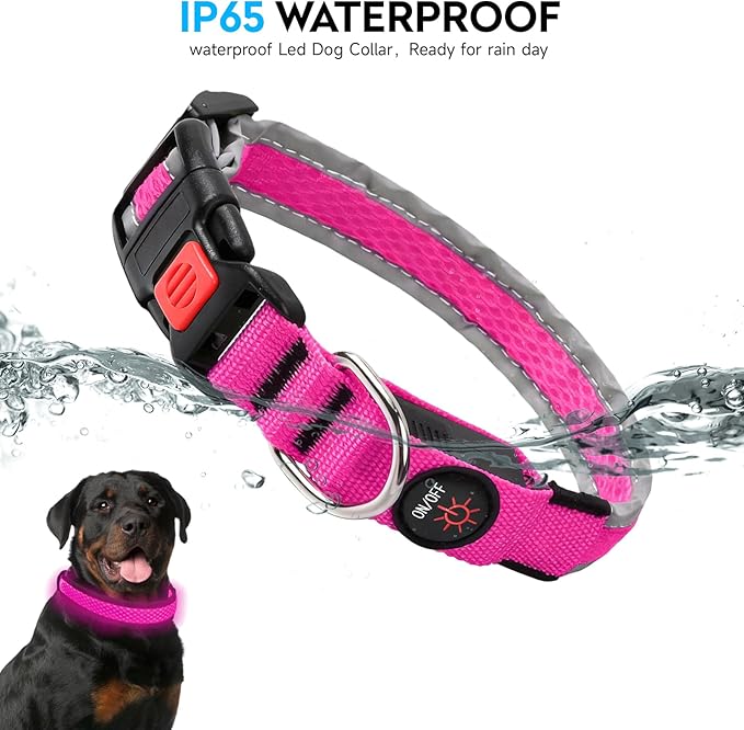 LED Dog Collar, Light Up Dog Collar USB Rechargeable, Nylon Adjustable Comfortable Soft Bright RGB 7 Colors Changeing Safety Light Glowing Collar for Small and Medium Dogs(Small,Pink)