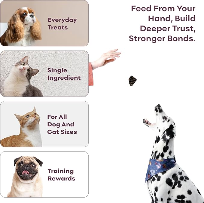 Skona PetFood Beef Liver Jerky Dog & Cat Treats, Single-Ingredient, High Protein Training Snacks, Natural & Healthy, USA Made, Supports Digestion, Energy & Shiny Coat, Rich in Nutrients, 4oz