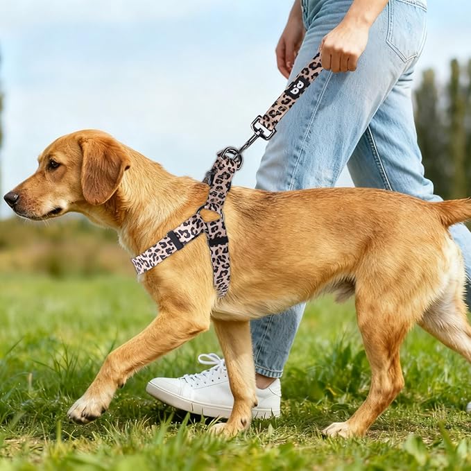 QQPETS Dog Harness Leash Set Adjustable Heavy Duty No Pull Halter Harnesses for Small Medium Large Breed Dogs Back Clip Anti-Twist Perfect for Walking