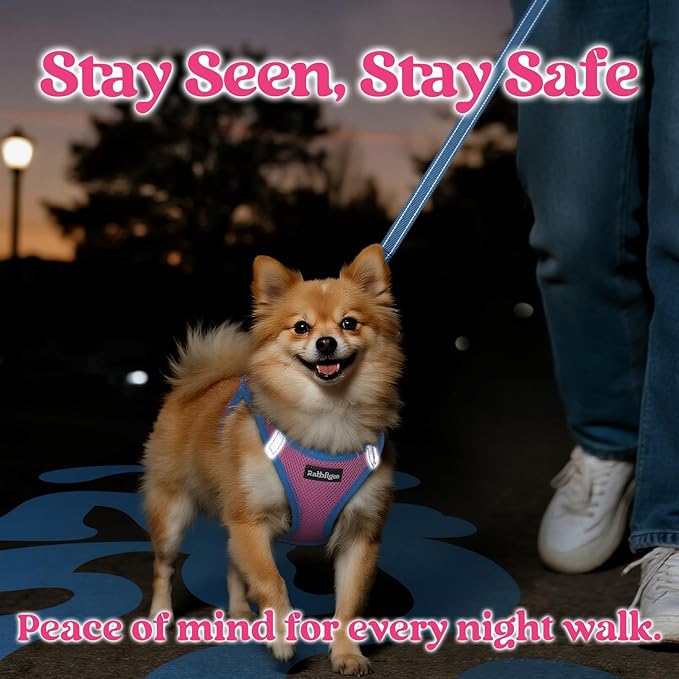 rabbitgoo Dog Harness Small Sized and Leash Set, Step-in Breathable Pet Harness, Soft Walking Reflective Puppy Vest for Small Dogs, Pink & Light Blue, XXS