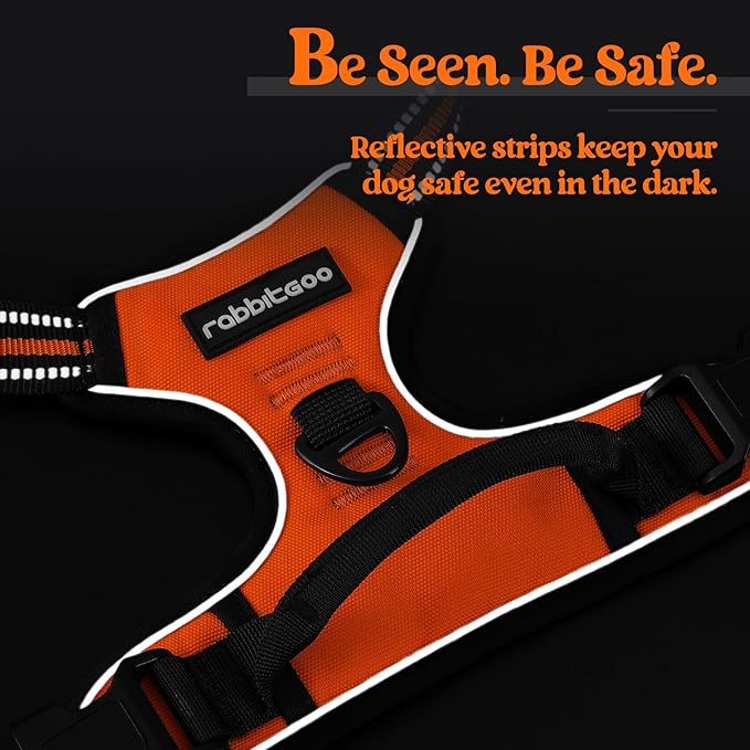 rabbitgoo Dog Harness No Pull with 2 Leash Clips, Adjustable Soft Padded, Reflective Oxford No Choke Pet Vest with Easy Control Handle for Large Dogs, Orange, XL