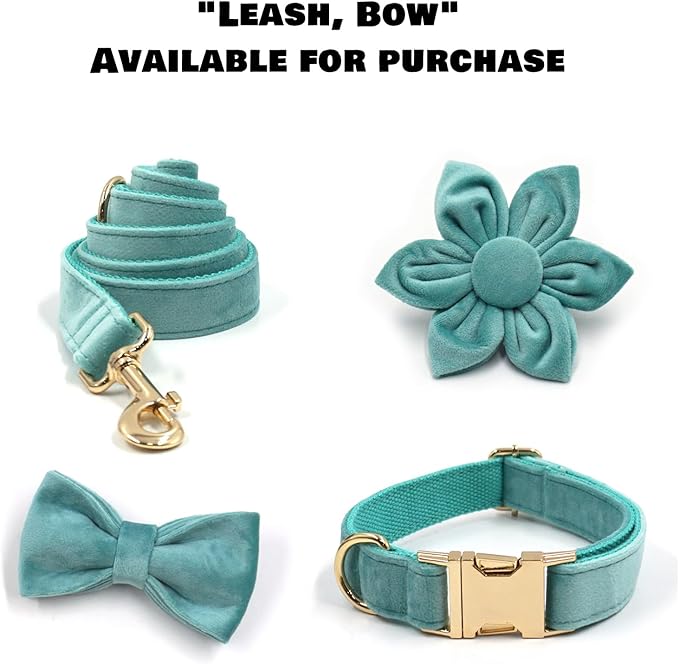 Velvet Personalized Dog Collar with Name - Customizable Dog Collar with Quick Release Metal Buckle - Leash and Bow Tie Available (Turquoise, L)