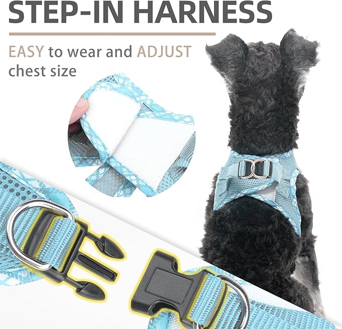 PUPTECK Dog Harness and Leash Set for Small Medium Dogs No Pull Step-in Soft Mesh Puppy Cat Vest Harnesses Reflective at Night, Sky Blue, XS