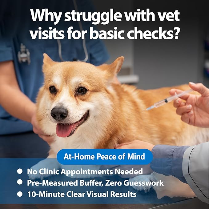 4-in-1 Dog Health Management Card 4-in-1 Canine Health Signal Analyze Common Canine Illnesses Quick and Easy at-Home Testing