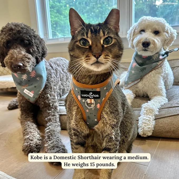 Lucy & Co. Take a Hike Step-in Cat Harness & Leash Bundle – Reflective, Breathable & Adjustable Harness for Cats, Kittens & Small Dogs, Lightweight & Secure and Dual Leash Clips – Small