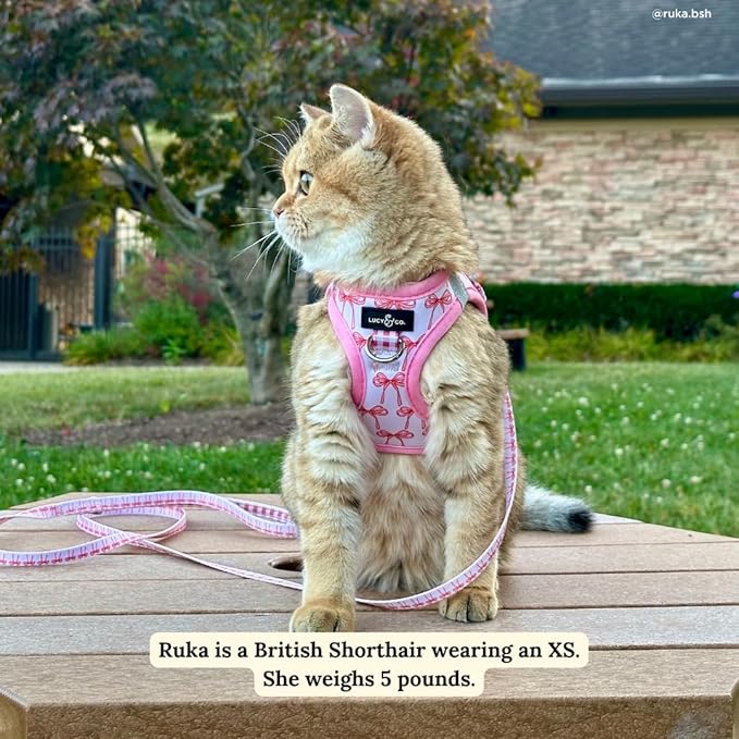 Lucy & Co. Take a Bow Step-in Cat Harness & Leash Bundle – Reflective, Breathable & Adjustable Harness for Cats, Kittens & Small Dogs, Lightweight & Secure and Dual Leash Clips – Small