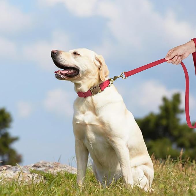 Didog Soft PU Leather Dog Collar, Stylish Quick Released Dog Collar for Large Dogs, Easy Clean Adjustable Pet Collar for Daily Walking, Red, L Fit 15-23" Neck