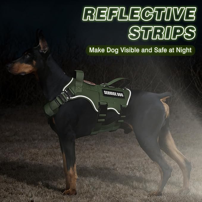 Tactical Service Dog Vest Harness and Leash Set,Heavy Duty Dog Harness with Metal Buckles for Large Dogs,Adjustable No Pull Pet Vest with 10 Patches,for Training Working Hiking,Green XL