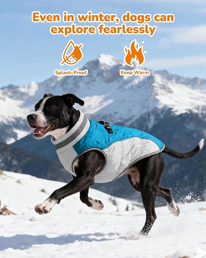 Dog Coat for Small Dogs, Adjustable Dog Jackets for Cold Weather, Reflective Winter Coat with Built-in Harness, Snowsuit Fits Dogs 5-8 lbs and Up, Size XS Blue