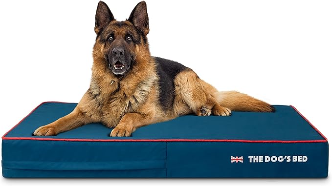 The Dog’s Bed Orthopedic Memory Foam Dog Bed, XL Blue Oxford with Red Trim UK Flag, Pain Relief for Arthritis, Hip & Elbow Dysplasia, Post Surgery Supportive, Waterproof Washable, Veterinary Approved