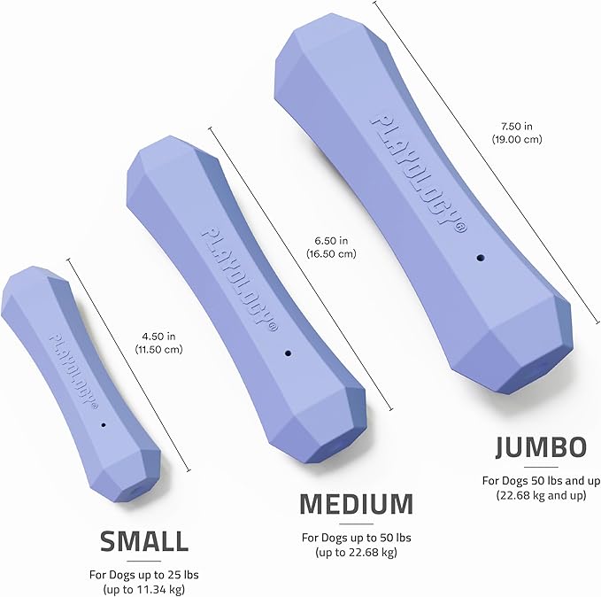 Playology Dog Toys | Durable Squeaky Chew Stick for Dogs | Medium Blueberry Scented Toy - Easy to Clean and Made from Non Toxic Materials
