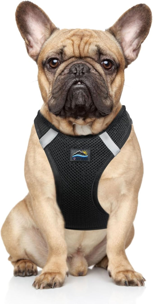 DOGGIE DESIGN Choke Free Reflective Step in Ultra Harness Black American River (Medium)