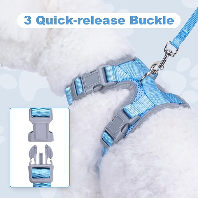 Small Dog Harness and Leash Set，No Pull Adjustable Pet Harness for Small Dogs ，Breathable Mesh Reflective Dog Vest Harness (Light Blue, S)