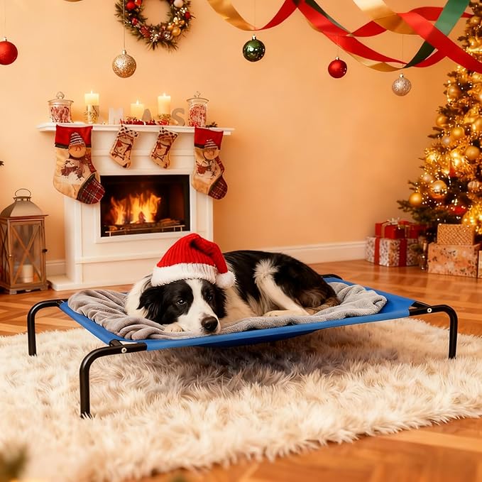 Elevated Dog Bed Waterproof Outdoor Pet Cot Cooling Dog Cot, Raised Bed for Large Dogs with Washable Breathable Mesh, No-Slip Feet, 50.8 x 31 x 8 inches, Blue